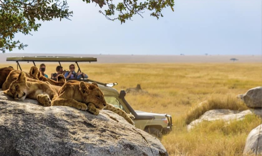 Vivere e Viaggiare - Kenya 2 - Foto