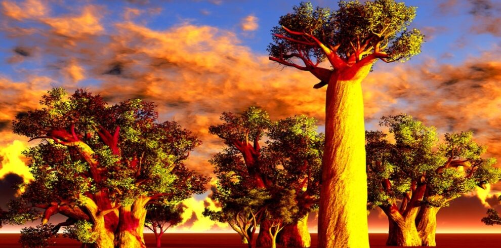 Vivere e Viaggiare - Madagascar - Foto