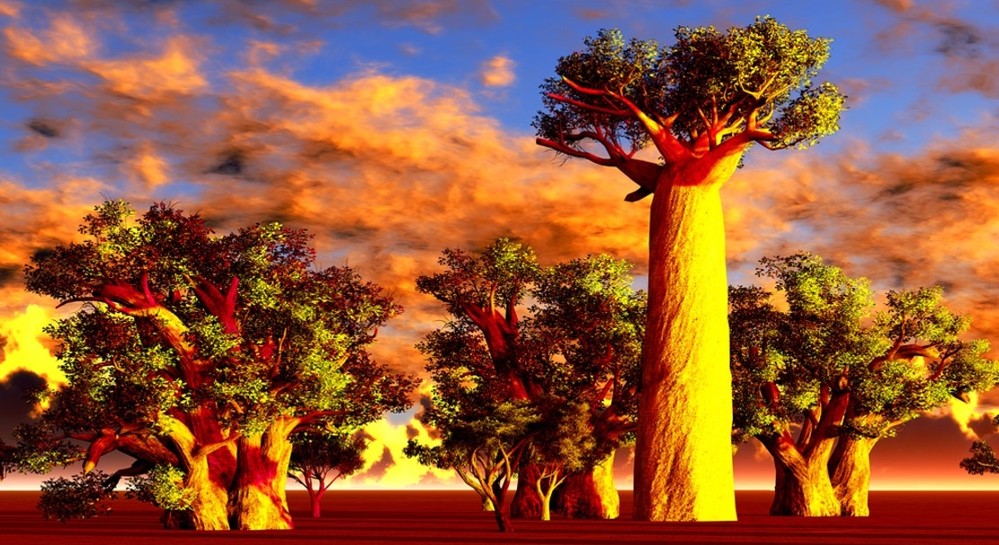 Vivere e Viaggiare - Madagascar - Foto