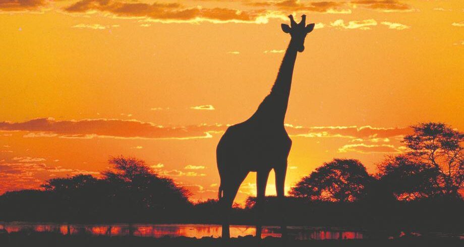 Vivere e Viaggiare - Sudafrica 2 - Foto