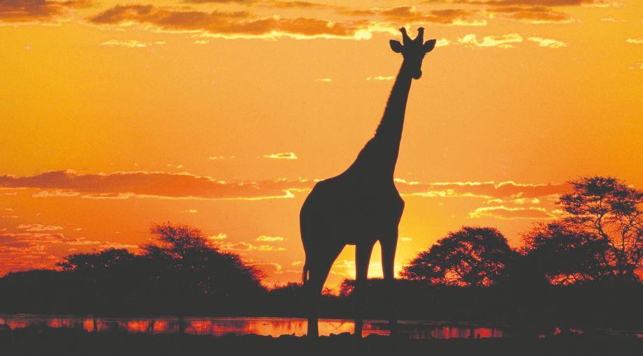 Vivere e Viaggiare - Sudafrica 2 - Foto