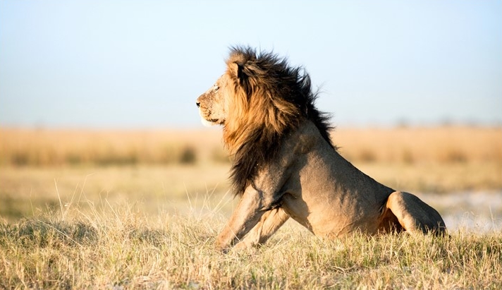 Vivere e Viaggiare - Sudafrica - Foto