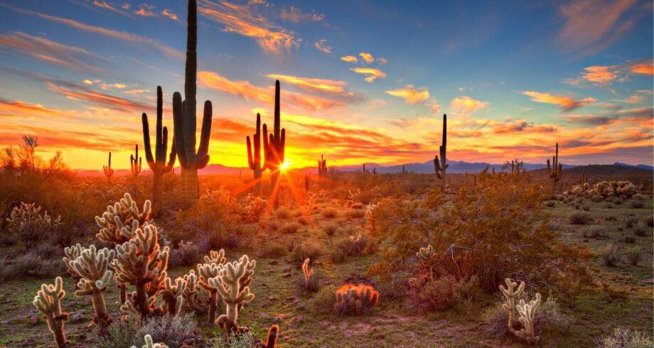 Vivere e Viaggiare - USA 2 - Foto