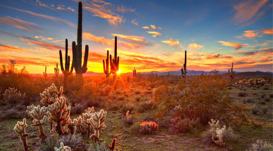 Vivere e Viaggiare - USA 2 - Foto