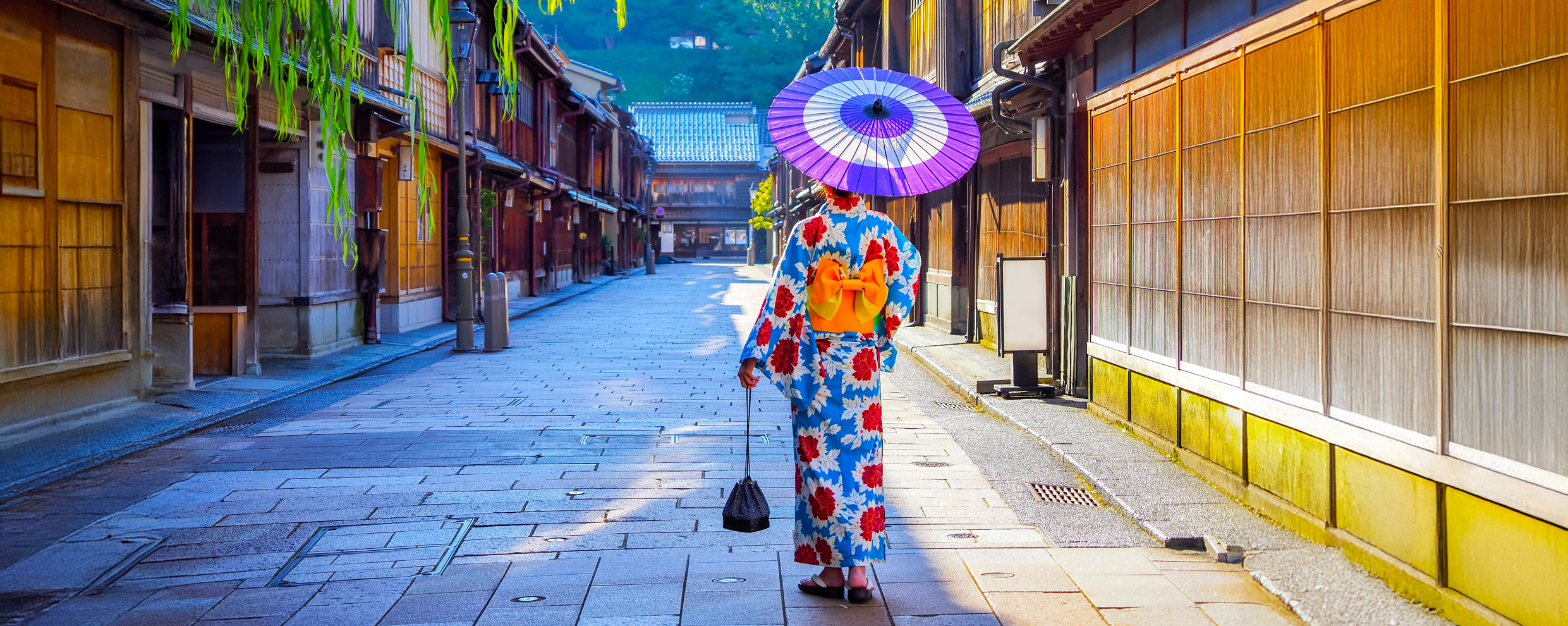 Vivere e Viaggiare - Giappone 2 - Foto