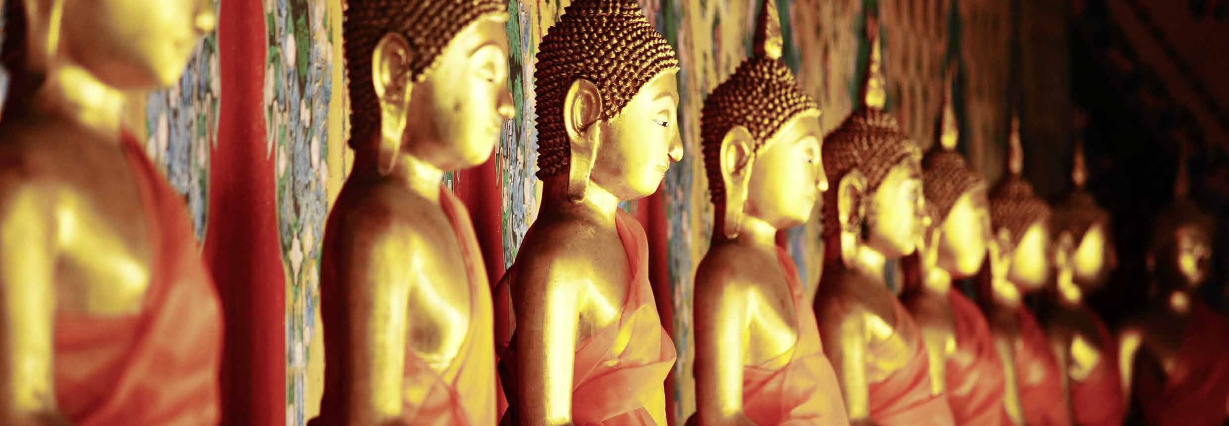 Vivere e Viaggiare - Sri Lanka 2 - Foto
