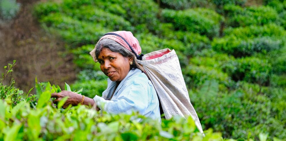Vivere e Viaggiare - Sri Lanka - Foto