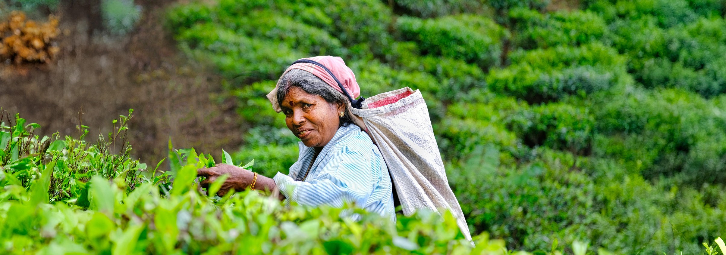 Vivere e Viaggiare - Sri Lanka - Foto