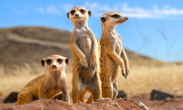 Vivere e Viaggiare - Sudafrica - Foto