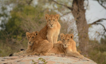 Vivere e Viaggiare - Sudafrica
